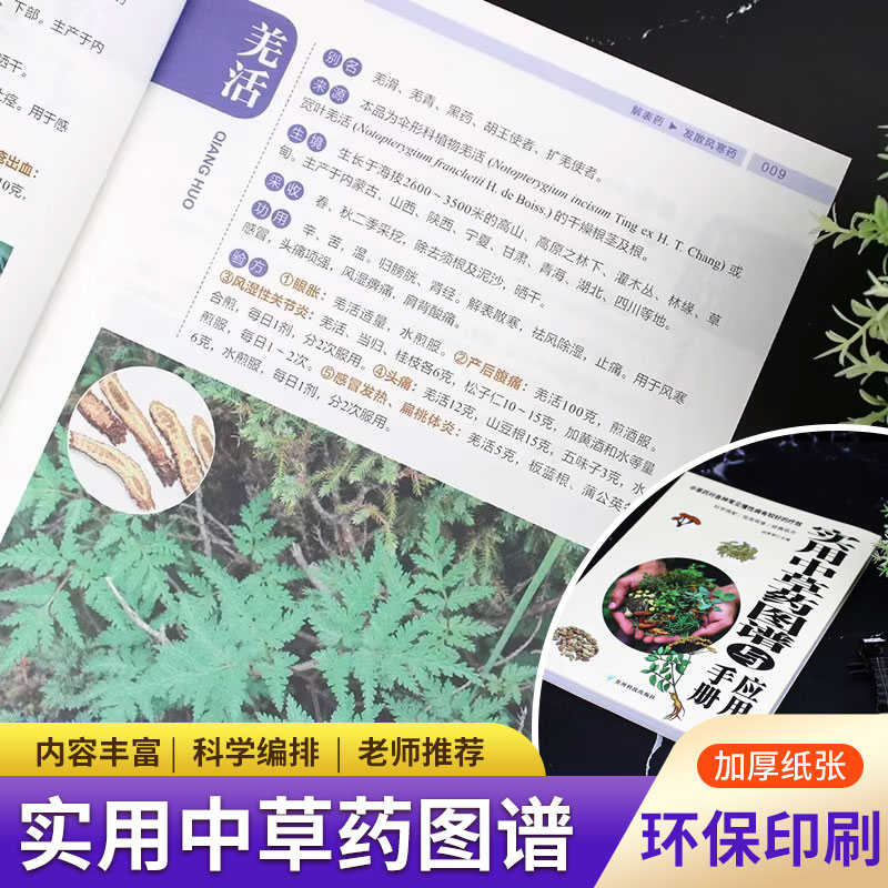 Wellness Herbal Medicine - Atlas y manual práctico de hierbas: