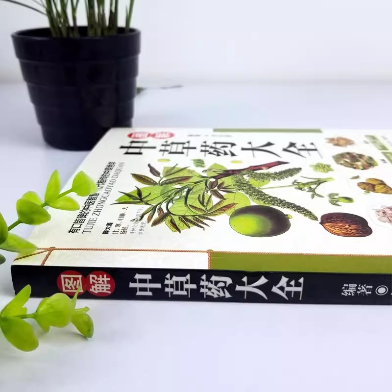 Libro: Guía Holística del Herb - Wellness Herbal Medicine reseña y precio