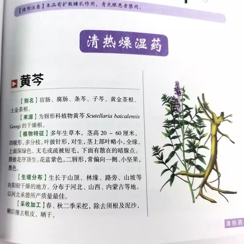 Libro: Guía Holística del Herb - Wellness Herbal Medicine reseña y precio
